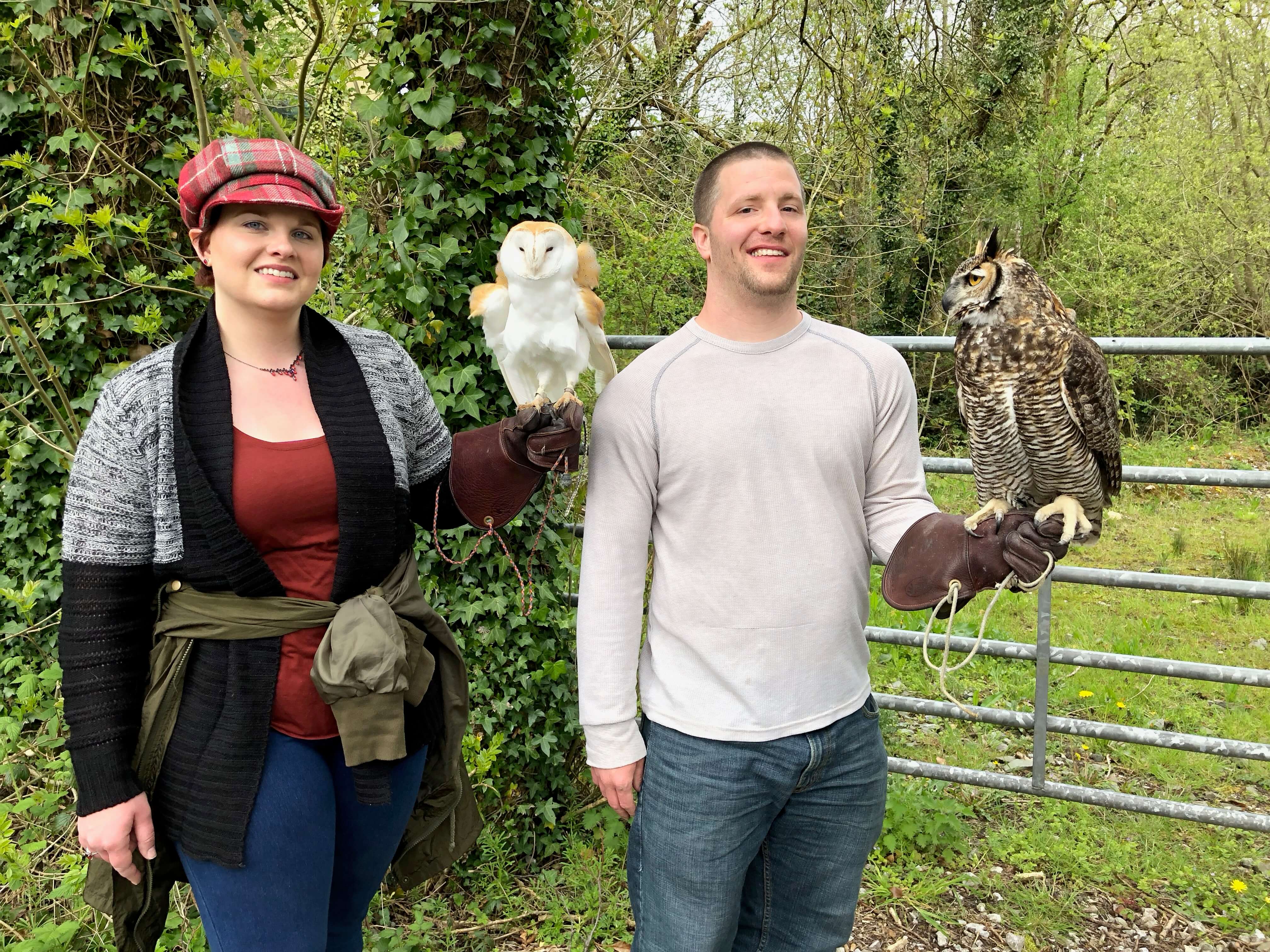 Owl fun in Ireland