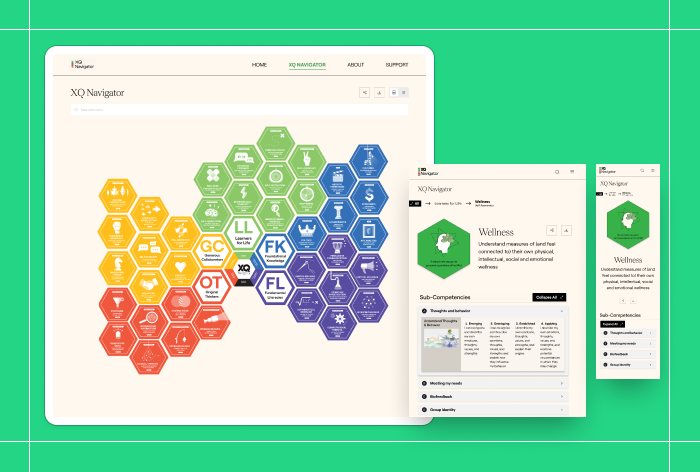 XQ Competency navigator Screenshot